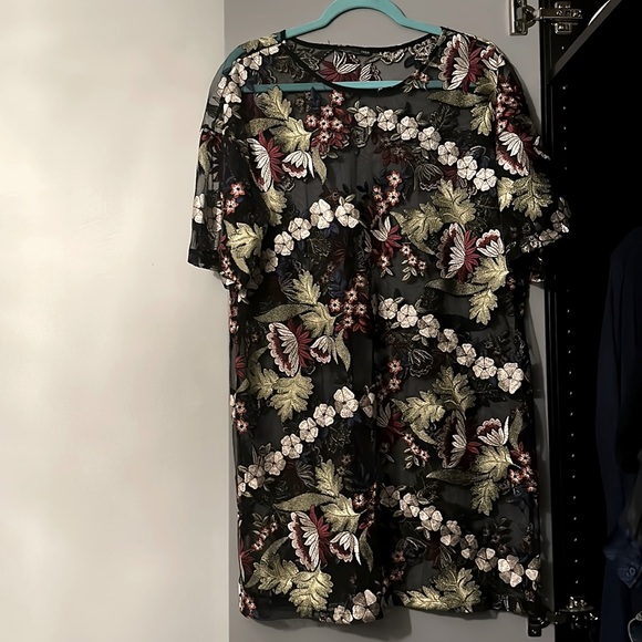 Beautiful Embroidered Zara sheer t-shirt dress. - Picture 1 of 3